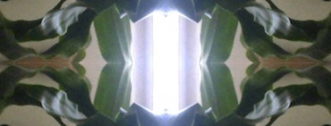 lucianaachugar_FEEL...FORM_SM copy