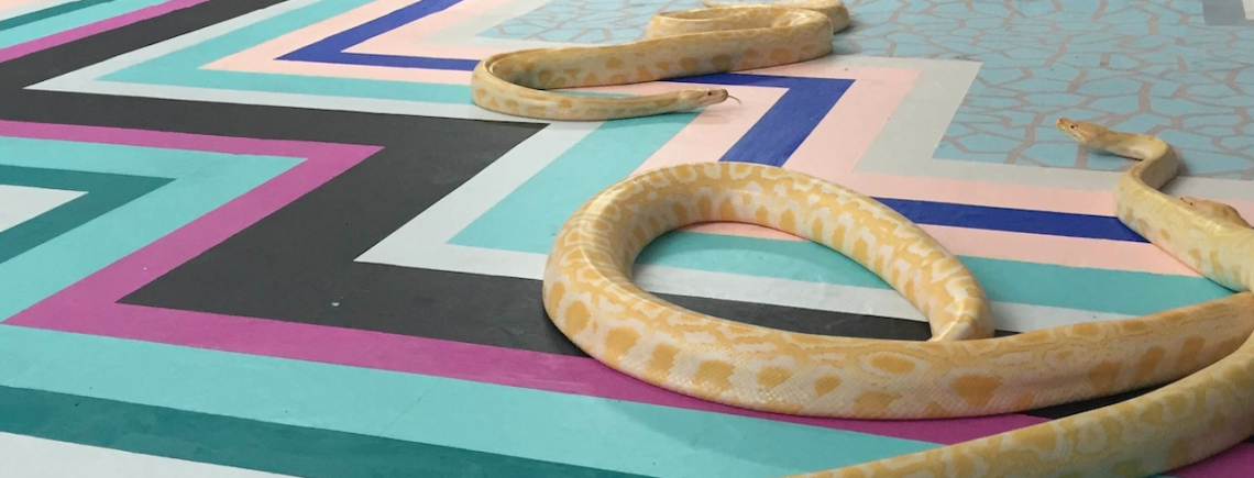 Screen Shot 2015-11-24 at 10.16.49 PM